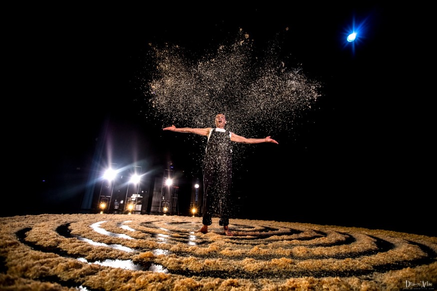 SOULTZ-SOUS-FORETS : découvrez l'utopie des arbres le vendredi 5 avril